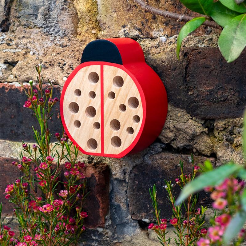 Wooden Ladybird | Bug Hotel