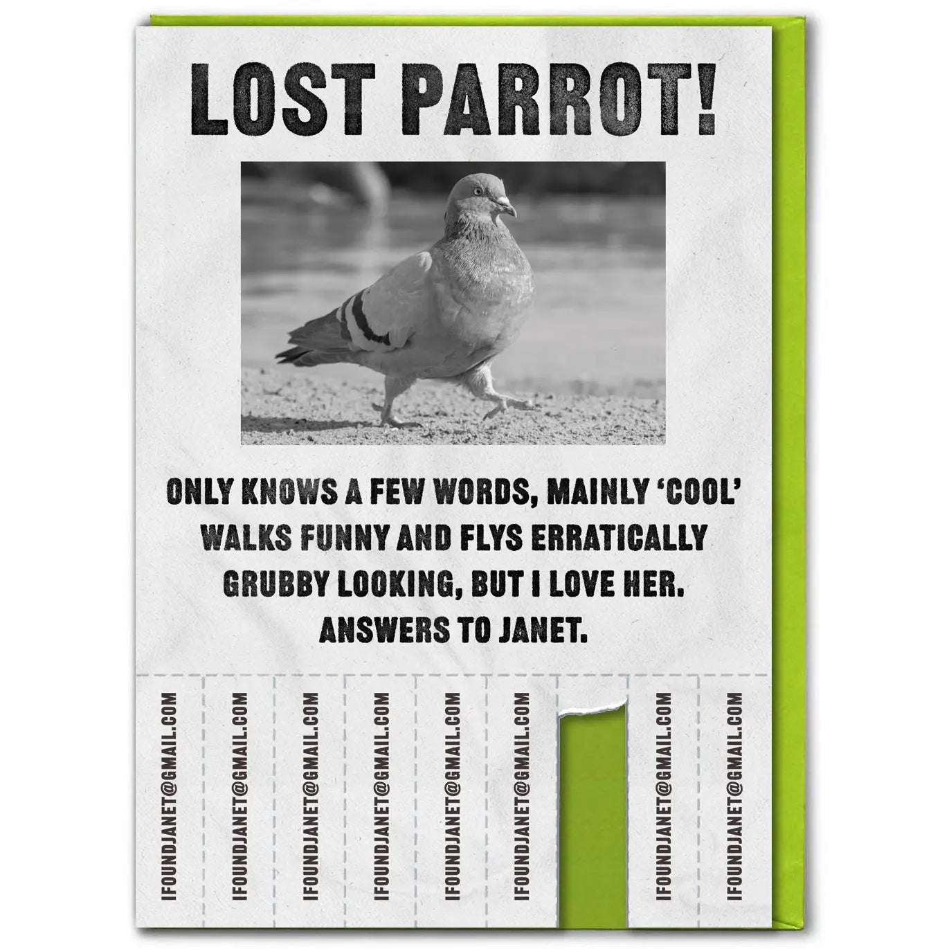 Lost Parrot | Greeting Card