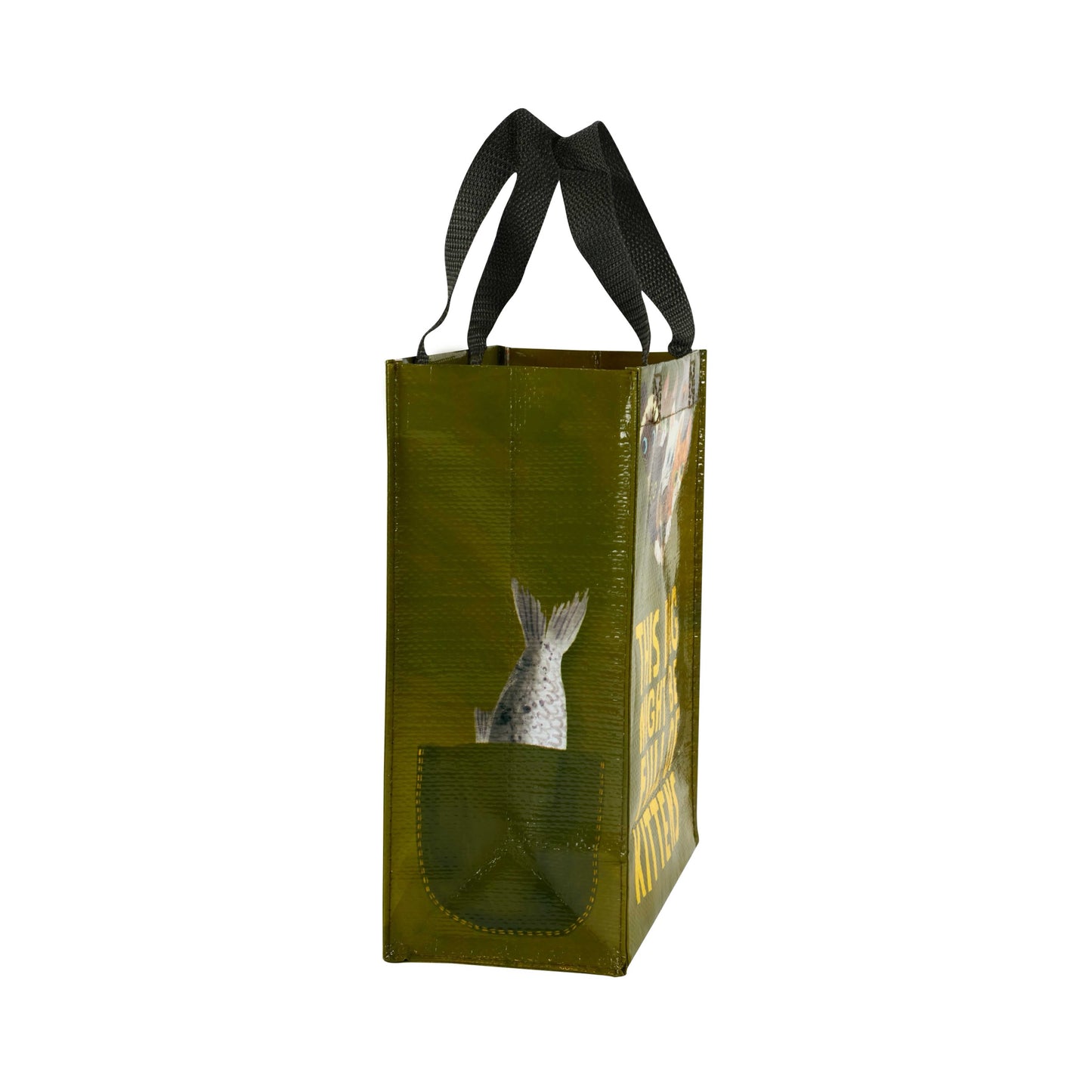 This Bag Might Be Full Of Kittens | Blue Q Handy Tote