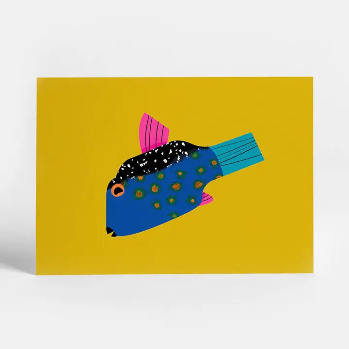 Boxfish | Postcard