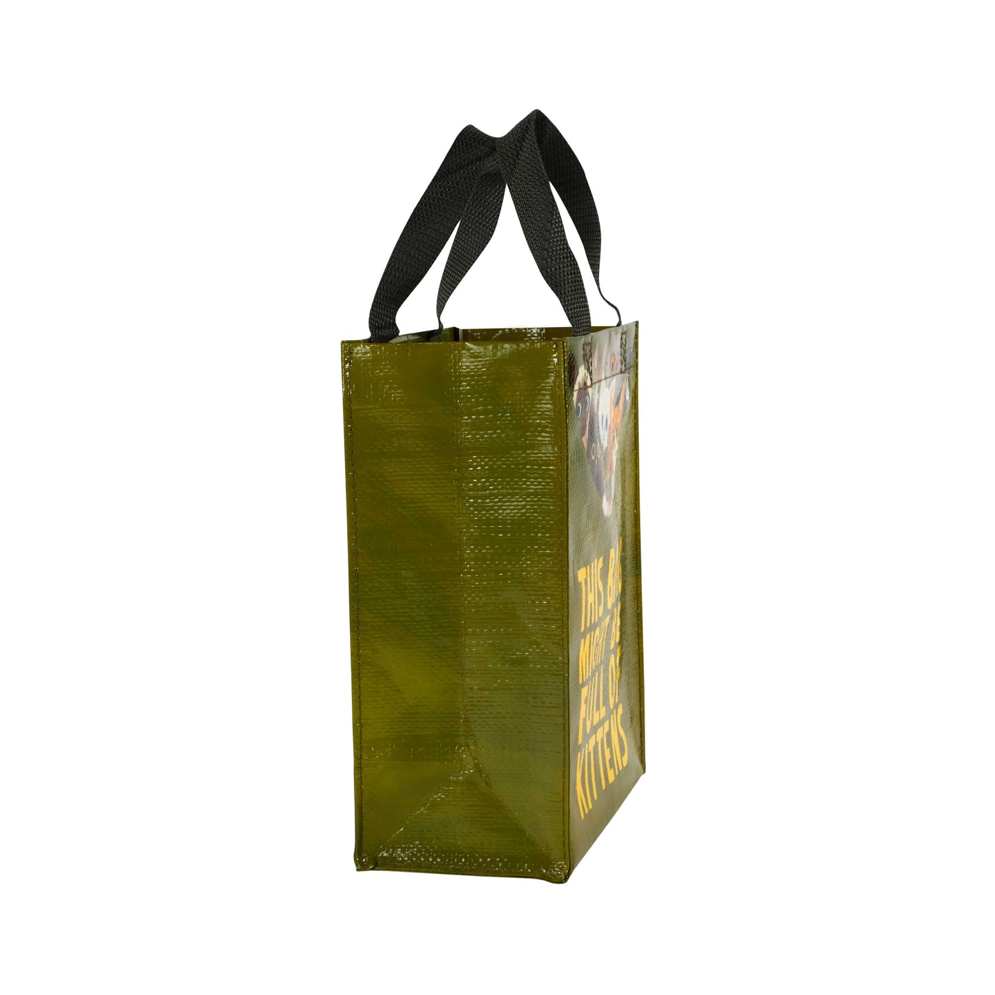 This Bag Might Be Full Of Kittens | Blue Q Handy Tote