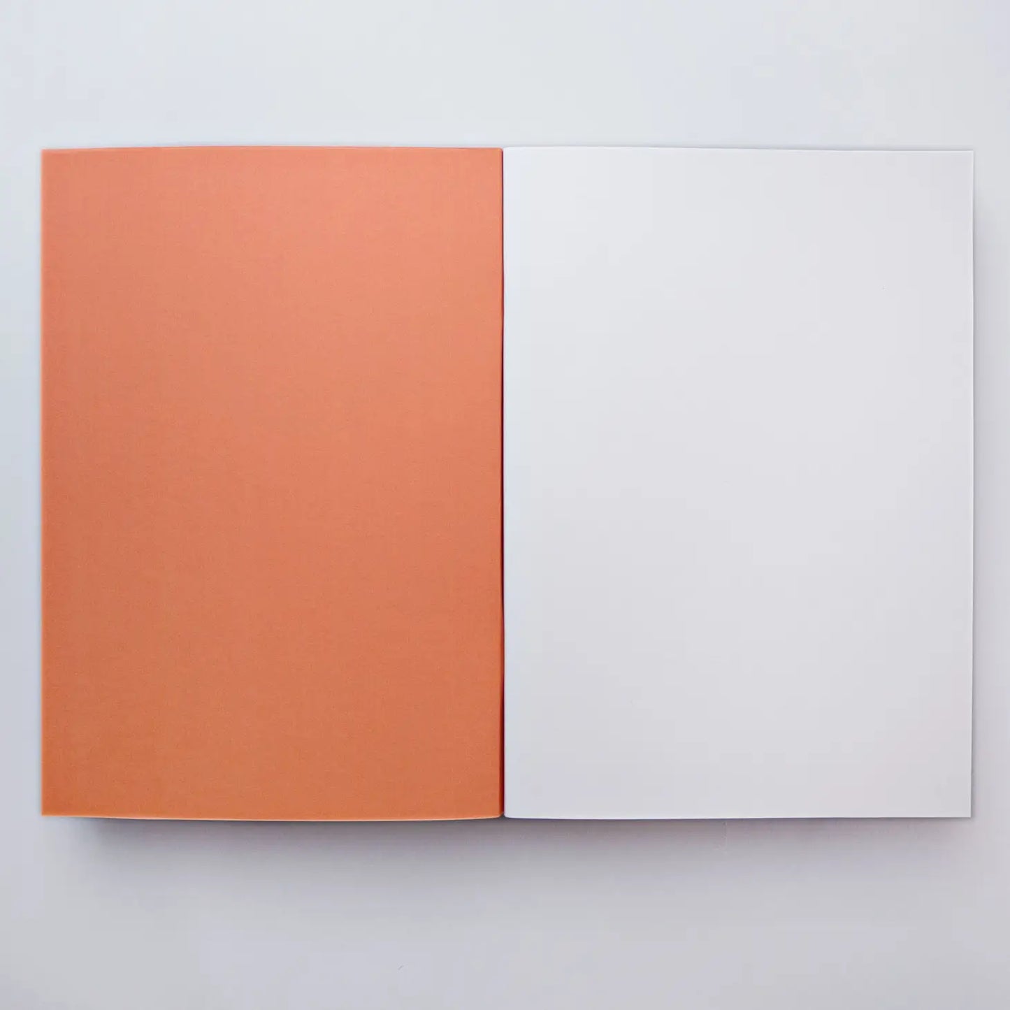 An open notebook with blank pages inside