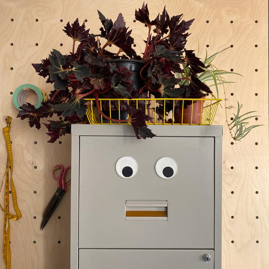 Googly Eyes | Magnets