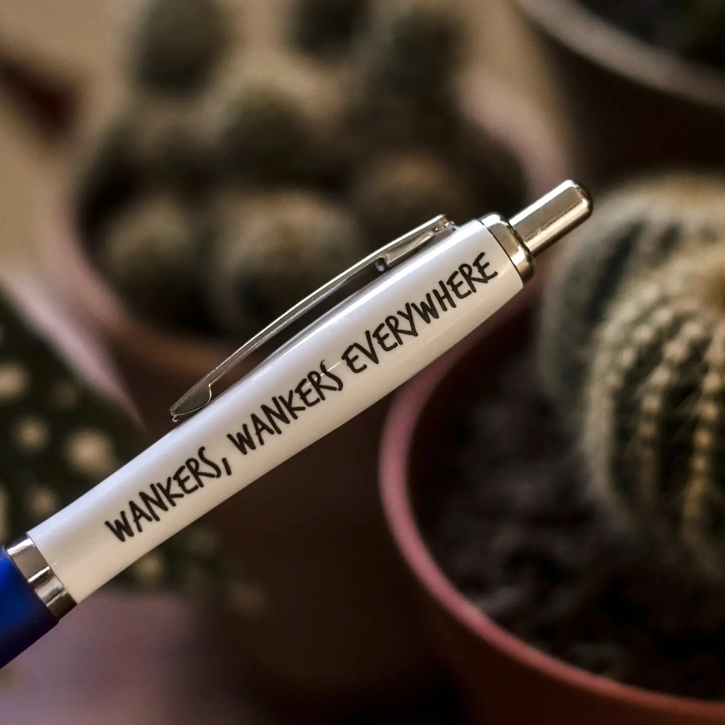 Sweary Biro | Pens