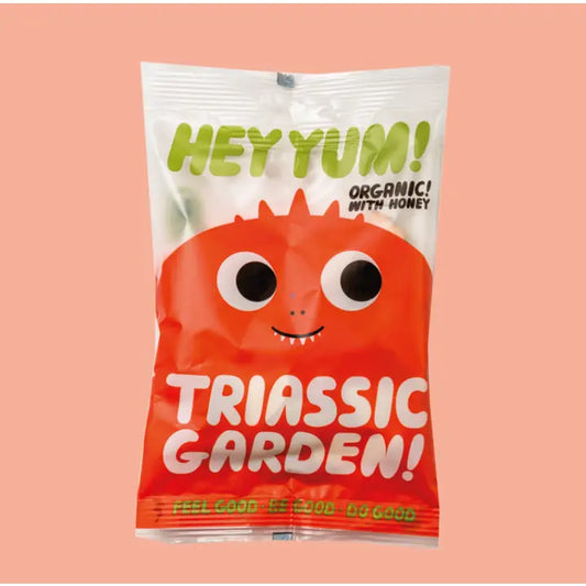 A white packet with a red dinosaur like character on the front. The text on the pack reads: Hey, Yum! Triassic garden! Organic with honey. Feel good, Be good, Do good 