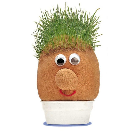 A brown ball of grass seads and sawdust with googly eyes and a red mouth. It has grass growing from the top of it and sits on a white plastic base.
