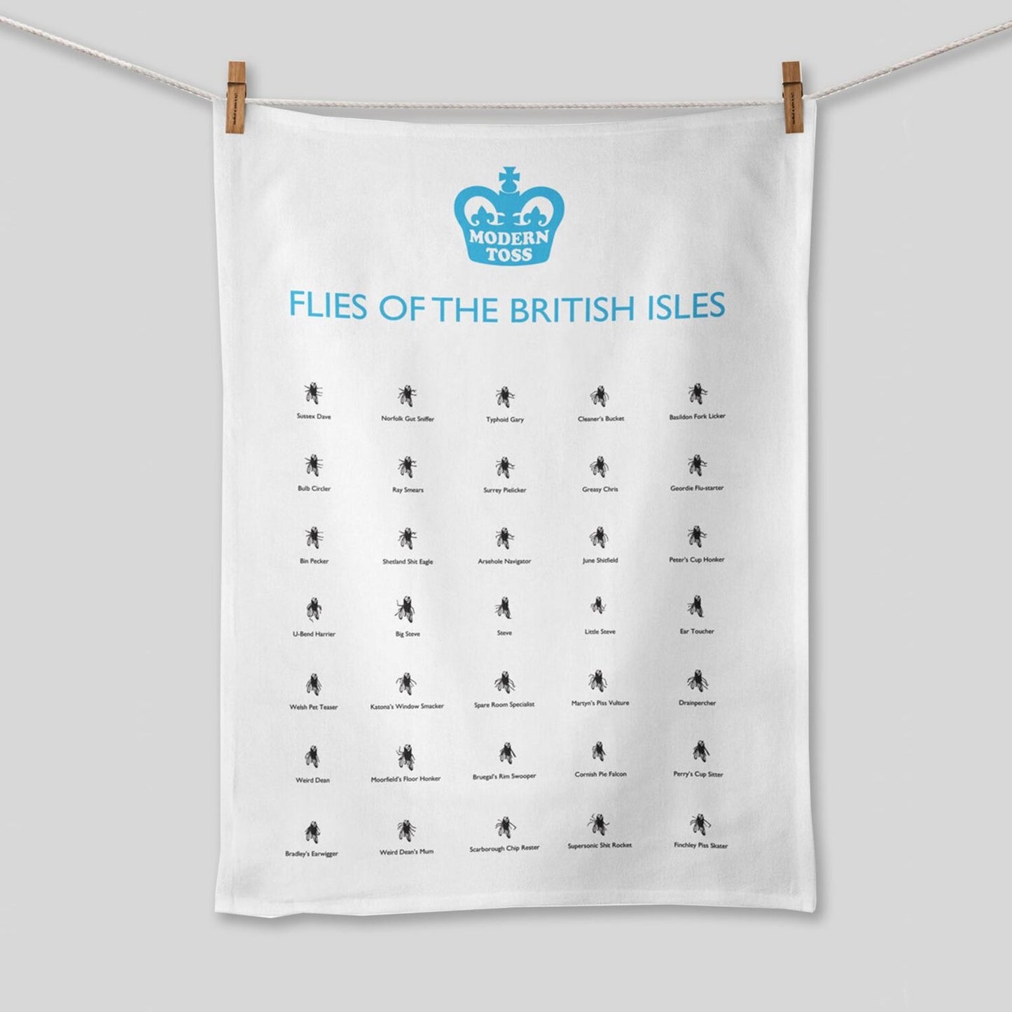 A white tea towel hung on a washing line that has lots of flies with different funny flies names on. The text on the tea towel treads: 'Flies of the british isles'