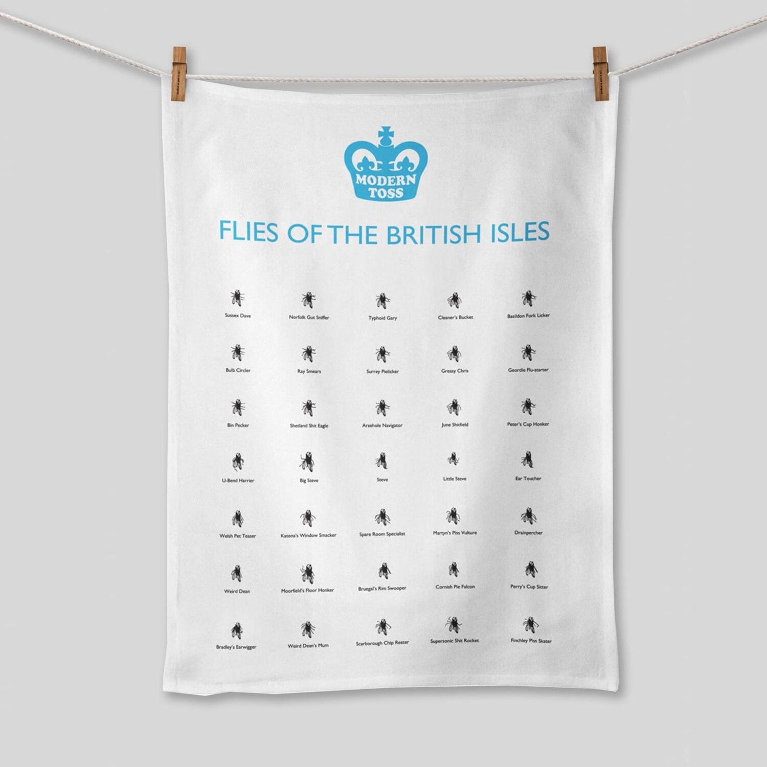 A white tea towel hung on a washing line that has lots of flies with different funny flies names on. The text on the tea towel treads: 'Flies of the british isles'