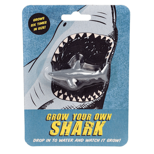 A small toy shark encases in a blue cardboard packaging with a picture of a shark on. The text on the packaging reads: Grow your own shark - Grows six times in size! - drop in water and watch it grow!