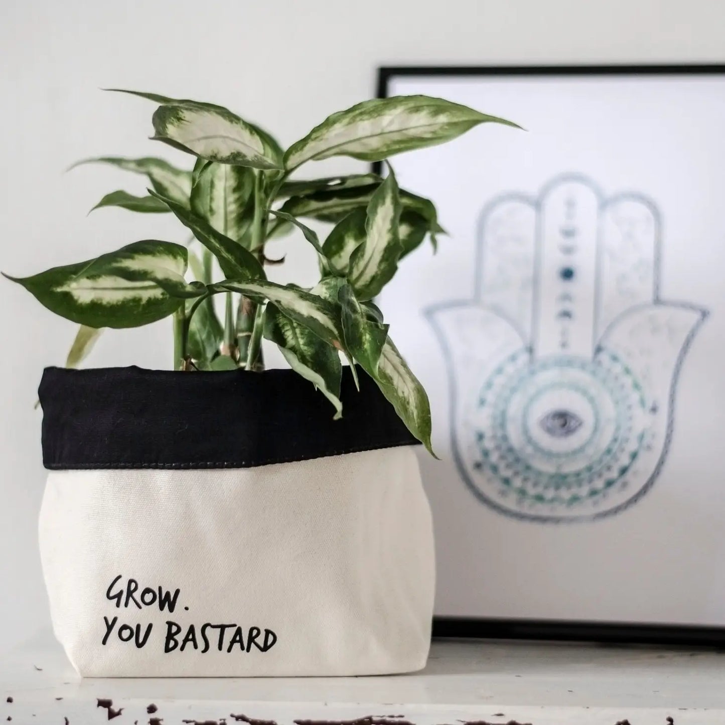 Image shows green and white plant with a cover over the pot that reads: Grow. You bastard