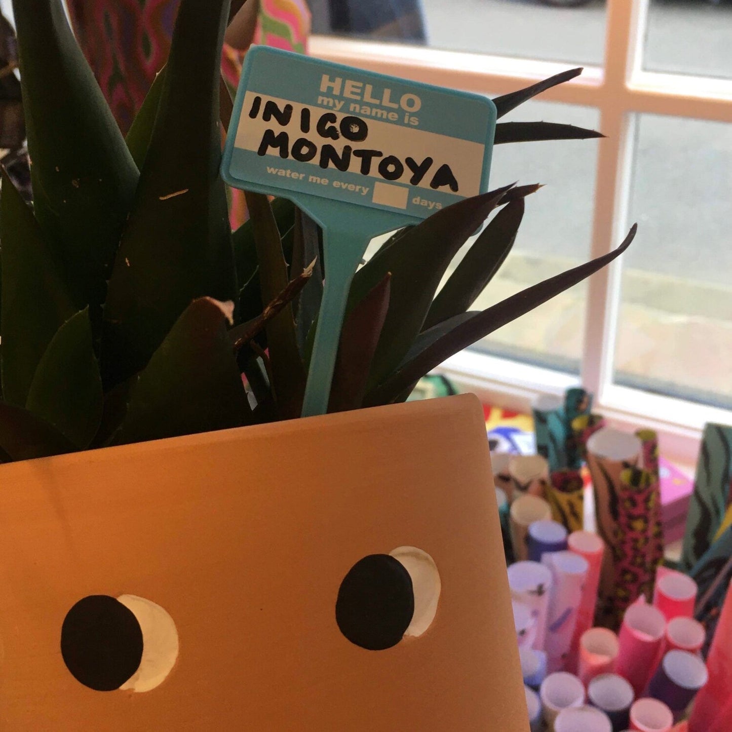 A plant in a pot that has a name tag poking out of the soil. The name tag reads: 'Hello my name is Inigo Montoya, water me every *blank* days
