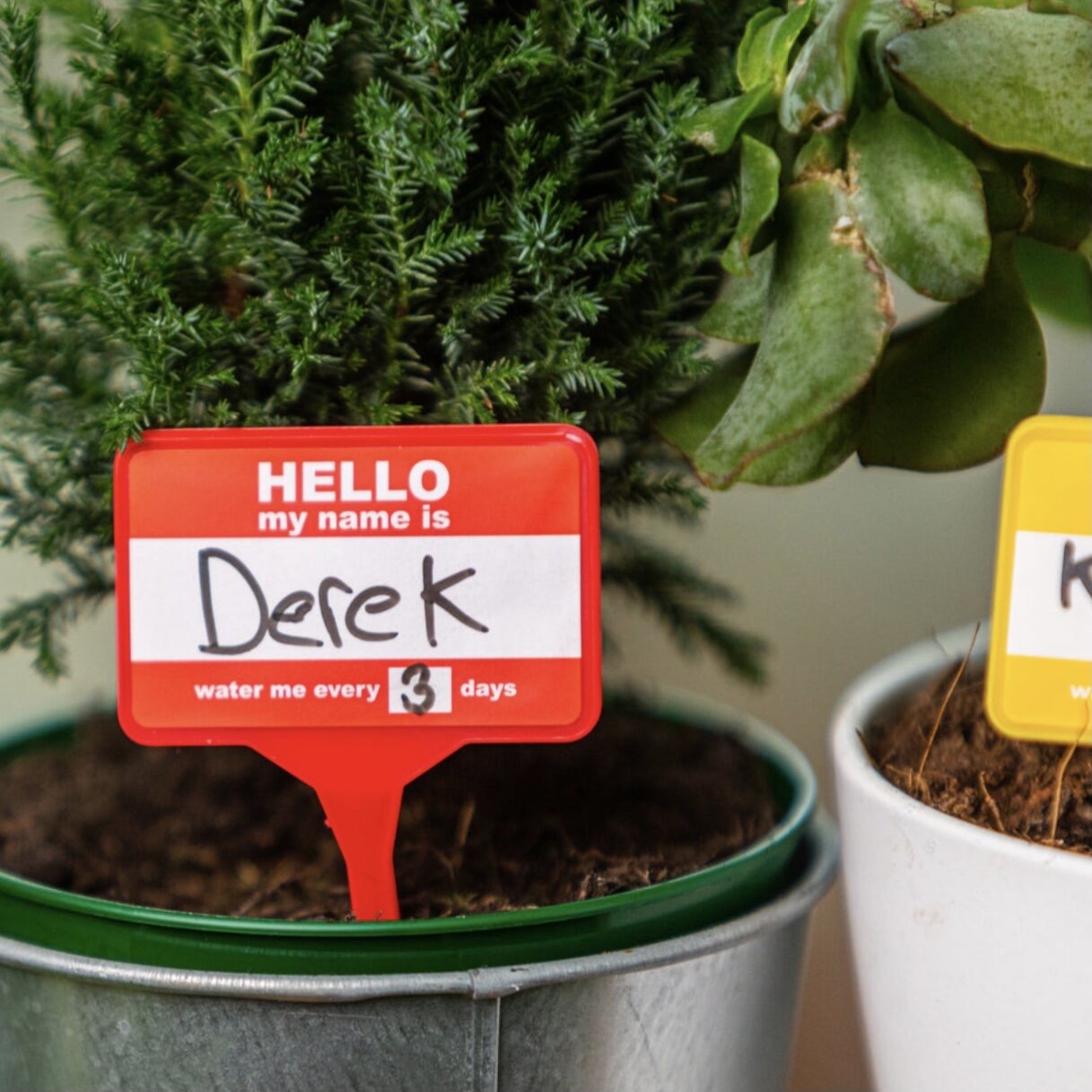 Plant Name Badges | Plant Gift