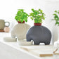Eleplant | Ceramic Elephant Planter