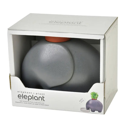 Eleplant | Ceramic Elephant Planter