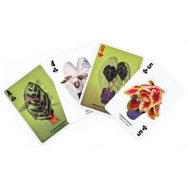 3D Lenticular House Plants | Playing Cards