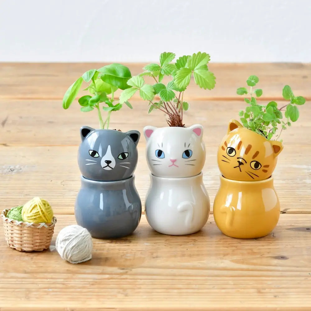 Corocoro | Cat Planter