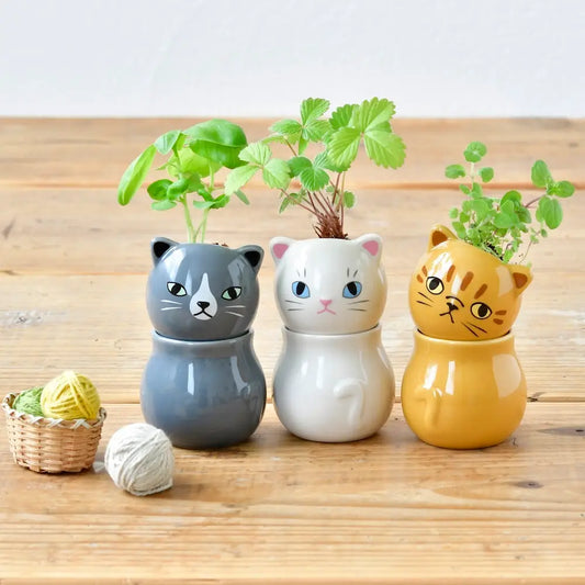 Corocoro | Cat Planter