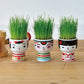 Japanese Kokeshi Doll | Plant Growing Kit