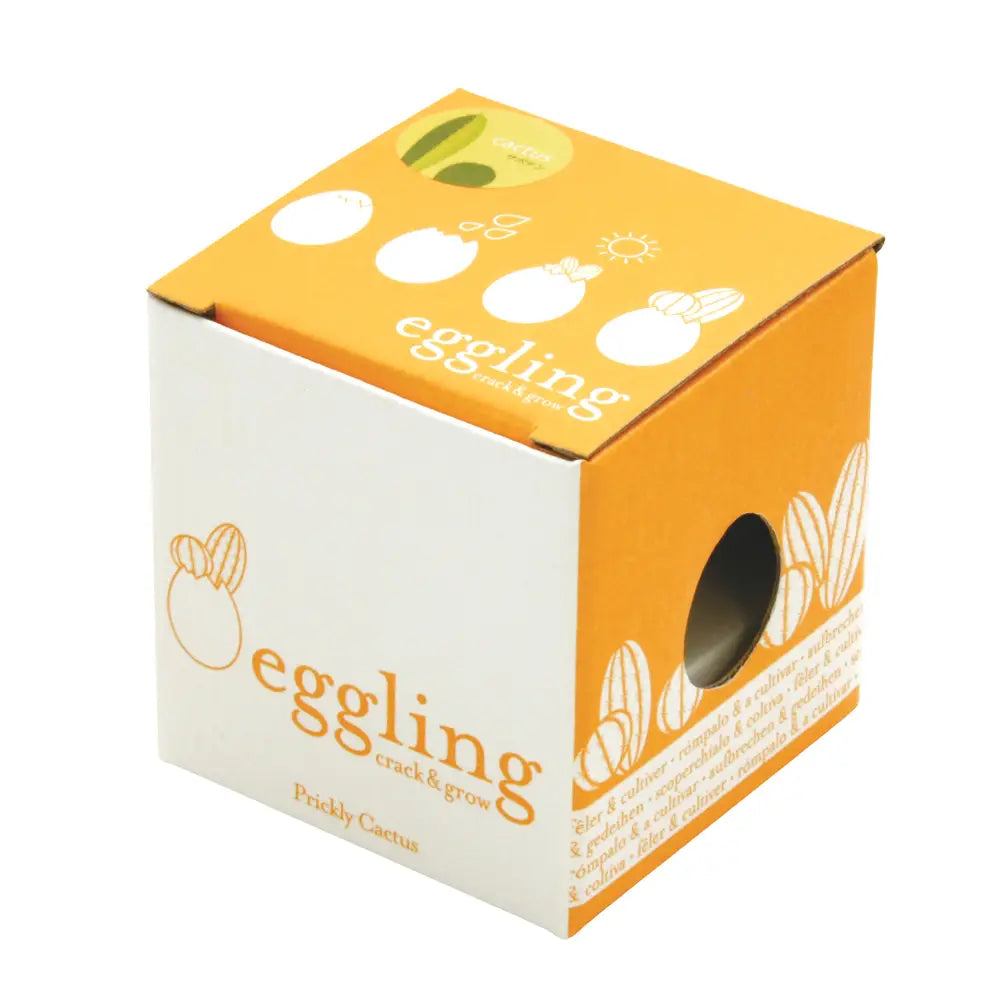 Eggling | Crack & Grow Prickly Cactus Plant
