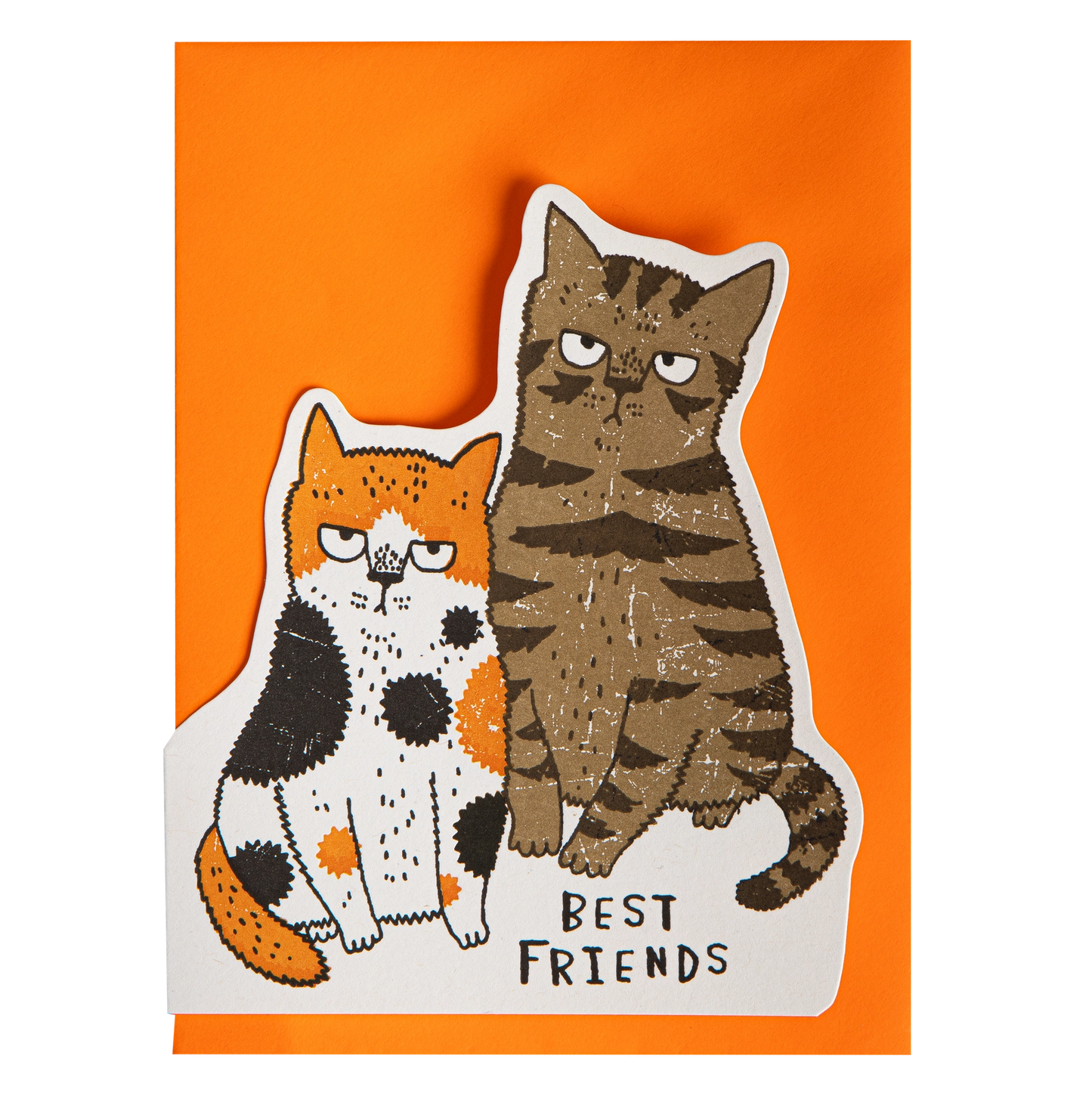 Grumpy Cats | Letterpress Greeting Card