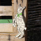 You’re The GOAT! | Leather Bookmark