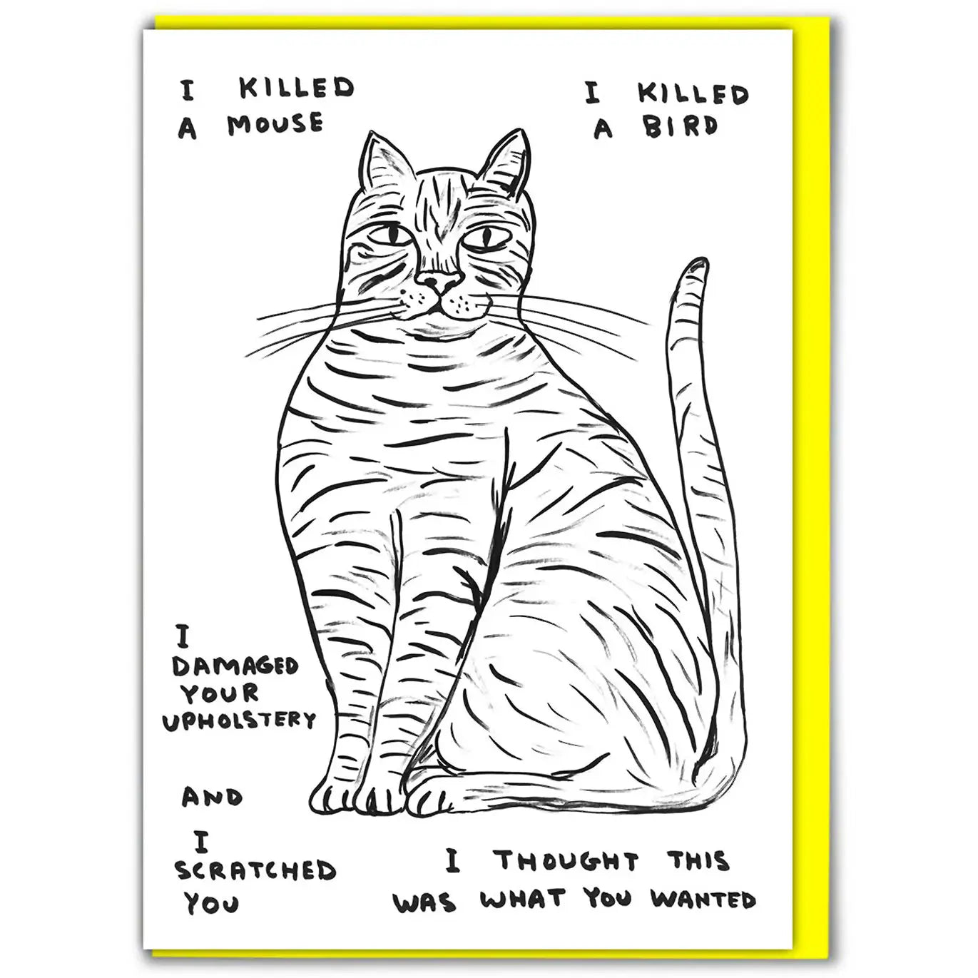 Artist David Shrigley I Killed A Mouse funny cat greeting card 
