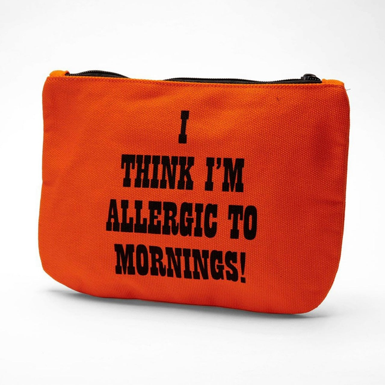 Snoopy | Allergic To Mornings Pouch