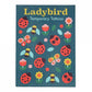 A blue packet of temporary tattoos with ladybirds bees and butterfly's. The text reads: Ladybird temporary tattoos. 