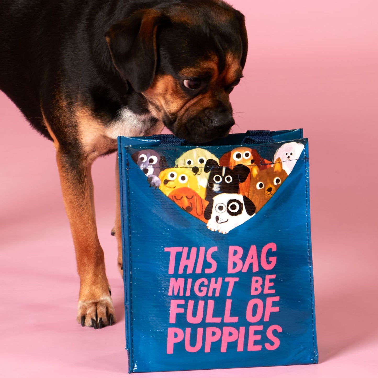 This Bag Might Be Full Of Puppies  | Blue Q Handy Tote