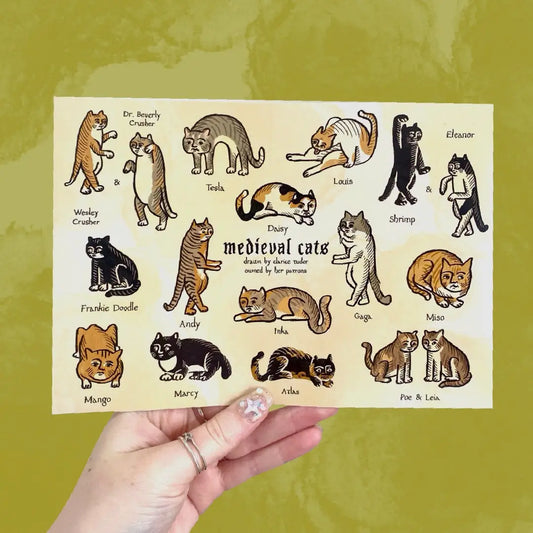 Sheet of medieval cat illustration stickers held by a hand on a green background