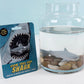 Grow Your Own Shark | Toy