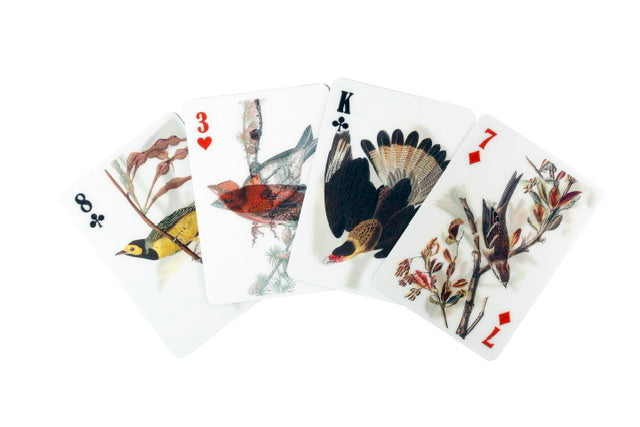 3D Lenticular Birds | Playing Cards