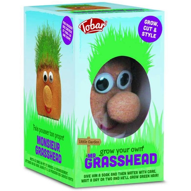Mr Grasshead | Toy