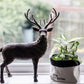 Image shows green and white plant in pot with a cover over saying grow. you bastard next to a dear ornament