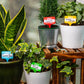 Plant Name Badges | Plant Gift